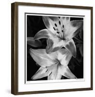 Botanical Study 5-Stacy Bass-Framed Giclee Print