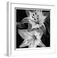 Botanical Study 5-Stacy Bass-Framed Giclee Print