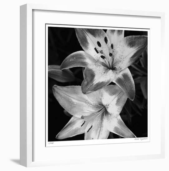 Botanical Study 5-Stacy Bass-Framed Giclee Print