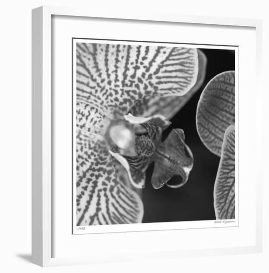 Botanical Study 6-Stacy Bass-Framed Giclee Print