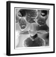 Botanical Study 7-Stacy Bass-Framed Giclee Print