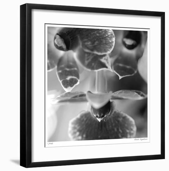 Botanical Study 7-Stacy Bass-Framed Giclee Print