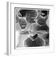 Botanical Study 7-Stacy Bass-Framed Giclee Print