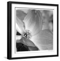 Botanical Study 9-Stacy Bass-Framed Giclee Print