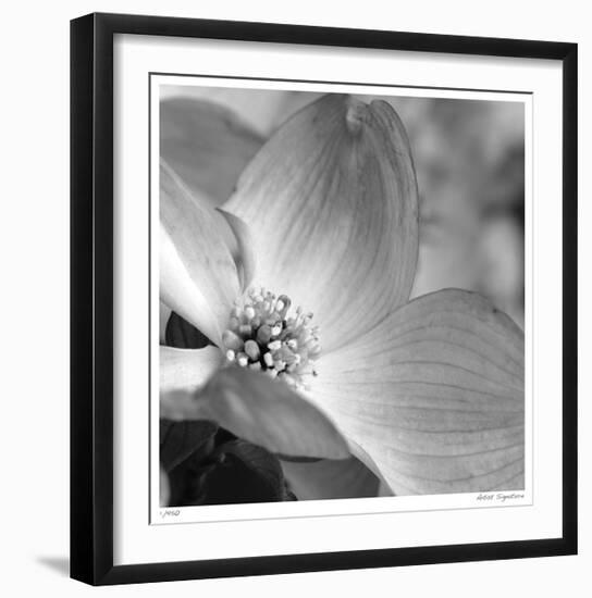 Botanical Study 9-Stacy Bass-Framed Giclee Print