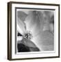 Botanical Study 9-Stacy Bass-Framed Giclee Print