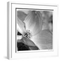 Botanical Study 9-Stacy Bass-Framed Giclee Print