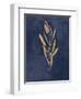 Botanical Study I Gold Navy-Julia Purinton-Framed Art Print