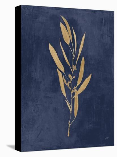 Botanical Study I Gold Navy-Julia Purinton-Stretched Canvas