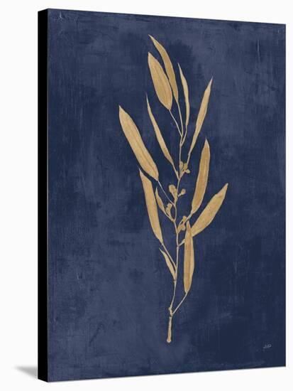 Botanical Study I Gold Navy-Julia Purinton-Stretched Canvas