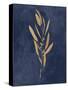 Botanical Study I Gold Navy-Julia Purinton-Stretched Canvas