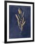 Botanical Study I Gold Navy-Julia Purinton-Framed Art Print