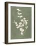 Botanical Study II Forest Green-Julia Purinton-Framed Art Print