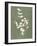 Botanical Study II Forest Green-Julia Purinton-Framed Art Print