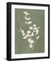 Botanical Study II Forest Green-Julia Purinton-Framed Art Print