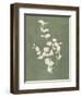 Botanical Study II Forest Green-Julia Purinton-Framed Art Print