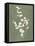 Botanical Study II Forest Green-Julia Purinton-Framed Stretched Canvas