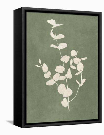 Botanical Study II Forest Green-Julia Purinton-Framed Stretched Canvas