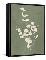 Botanical Study II Forest Green-Julia Purinton-Framed Stretched Canvas