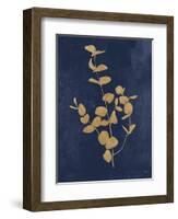 Botanical Study II Gold Navy-Julia Purinton-Framed Art Print