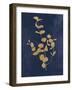 Botanical Study II Gold Navy-Julia Purinton-Framed Art Print