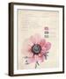 Botanical Study II-Belle Poesia-Framed Giclee Print