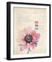 Botanical Study II-Belle Poesia-Framed Giclee Print