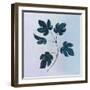 Botanical Study III Blue-Julia Purinton-Framed Art Print