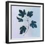 Botanical Study III Blue-Julia Purinton-Framed Art Print