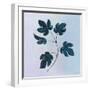 Botanical Study III Blue-Julia Purinton-Framed Art Print