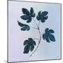 Botanical Study III Blue-Julia Purinton-Mounted Art Print