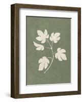 Botanical Study III Forest Green-Julia Purinton-Framed Art Print