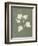 Botanical Study III Forest Green-Julia Purinton-Framed Art Print