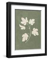 Botanical Study III Forest Green-Julia Purinton-Framed Art Print