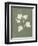 Botanical Study III Forest Green-Julia Purinton-Framed Art Print