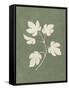 Botanical Study III Forest Green-Julia Purinton-Framed Stretched Canvas