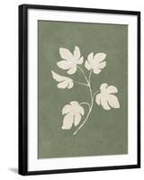 Botanical Study III Forest Green-Julia Purinton-Framed Art Print