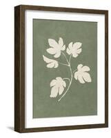Botanical Study III Forest Green-Julia Purinton-Framed Art Print