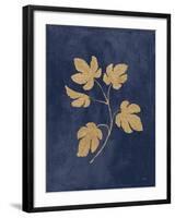 Botanical Study III Gold Navy-Julia Purinton-Framed Art Print