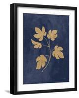 Botanical Study III Gold Navy-Julia Purinton-Framed Art Print