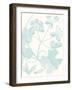 Botanical Study in Spa II-Vision Studio-Framed Art Print