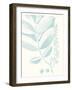 Botanical Study in Spa VI-Vision Studio-Framed Art Print