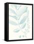 Botanical Study in Spa VI-Vision Studio-Framed Stretched Canvas