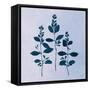 Botanical Study IV Blue-Julia Purinton-Framed Stretched Canvas