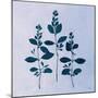 Botanical Study IV Blue-Julia Purinton-Mounted Art Print