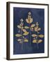 Botanical Study IV Gold Navy-Julia Purinton-Framed Art Print