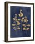 Botanical Study IV Gold Navy-Julia Purinton-Framed Art Print