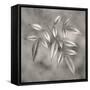 Botanical Study No. 4-Nicholas Bell-Framed Stretched Canvas