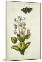 Botanical Study of a Violet-Jacques Le Moyne De Morgues-Mounted Giclee Print