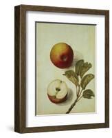 Botanical Study of an Apple-Jacques Le Moyne De Morgues-Framed Giclee Print